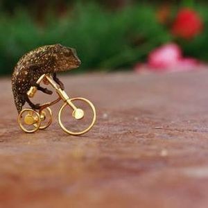 Meet your Posher, Janice